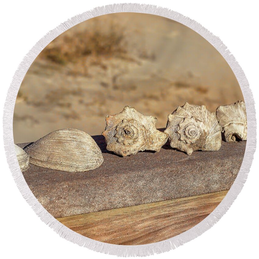 Beach Round Beach Towel featuring the photograph The Shell Collection by Kathy Baccari