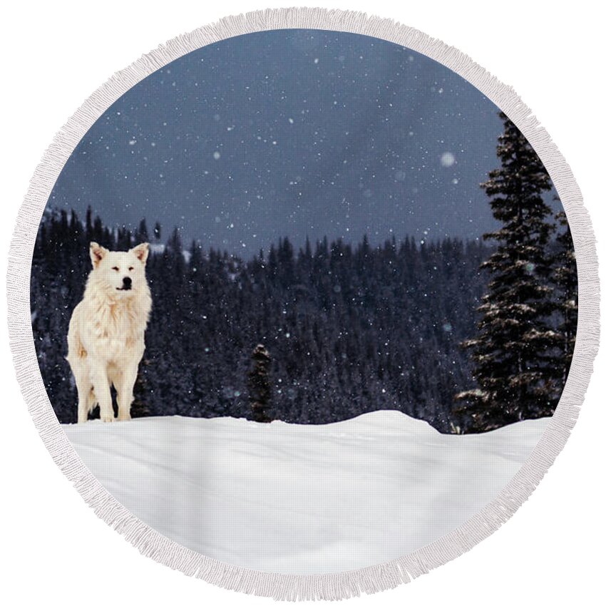 Animals Round Beach Towel featuring the photograph The Wolf by Evgeni Dinev