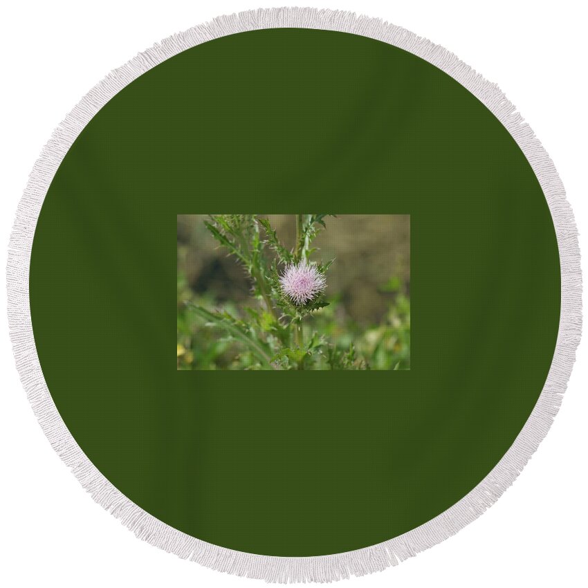 Florida Round Beach Towel featuring the photograph Thistle Flower by Lindsey Floyd
