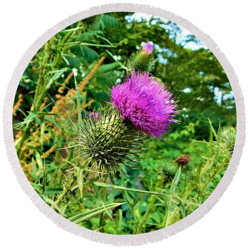 - Thistle Round Beach Towel featuring the photograph - Thistle by THERESA Nye