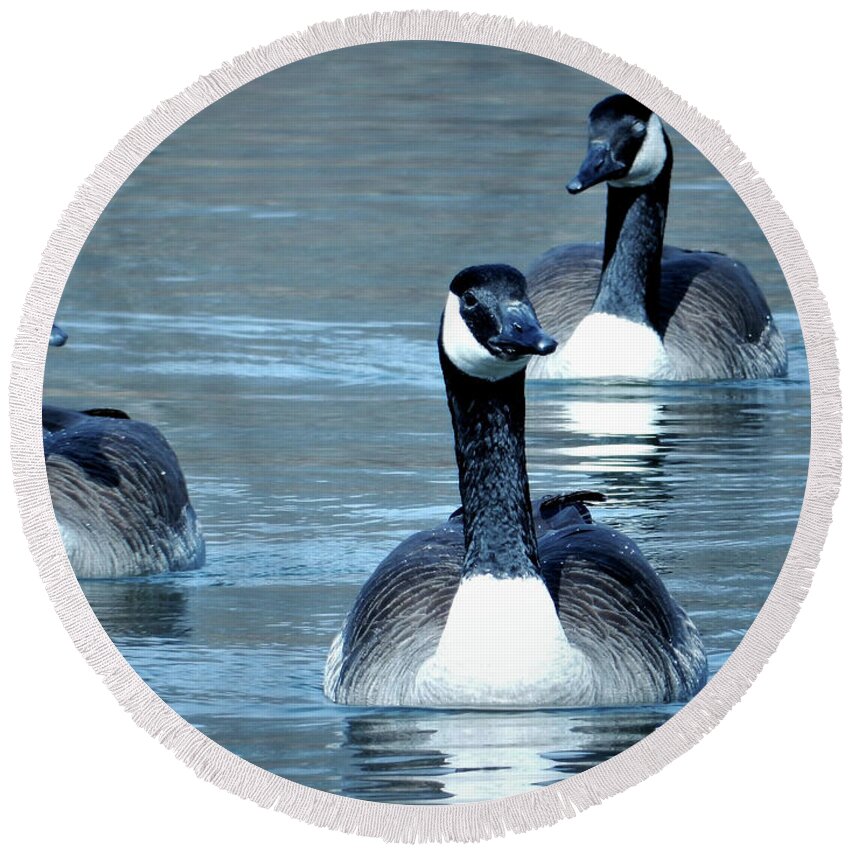 Three Geese Round Beach Towel featuring the photograph Three of a Kind by Sandra J's