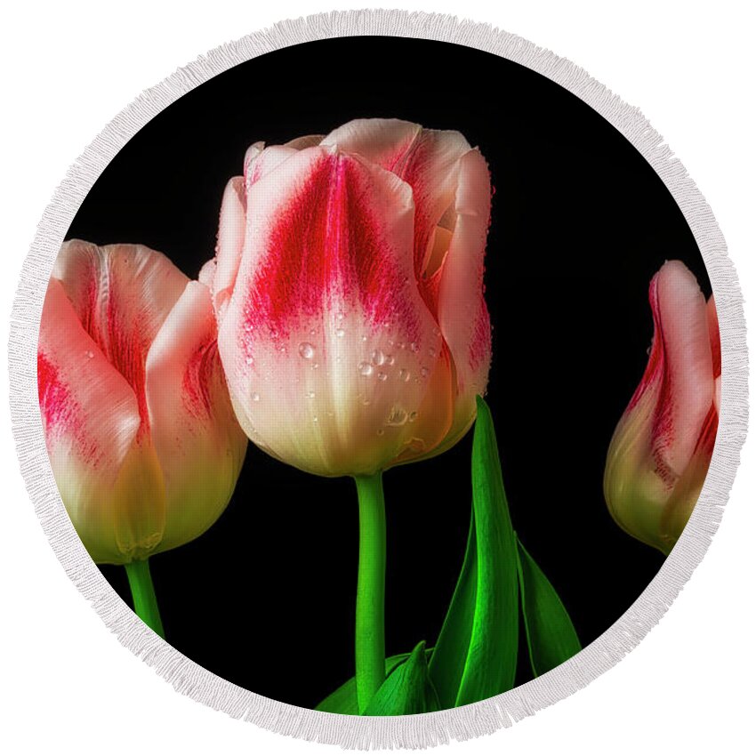 Tulip Round Beach Towel featuring the photograph Three Red And White Lovely Tulips by Garry Gay