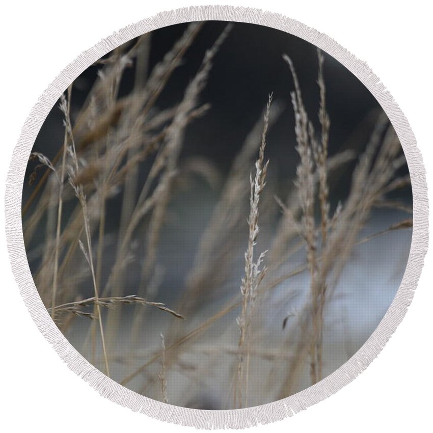 Grasses Round Beach Towel featuring the photograph Through the Grasses by Bonnie Bruno