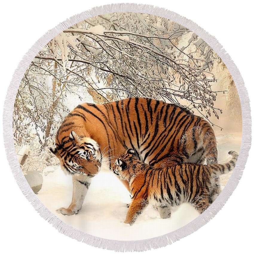  Round Beach Towel featuring the photograph Tiger family by Top Wallpapers
