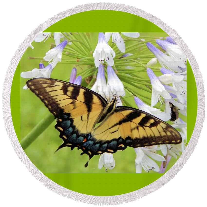 Butterfly Round Beach Towel featuring the photograph Tiger Swallowtail II by Karen Stansberry