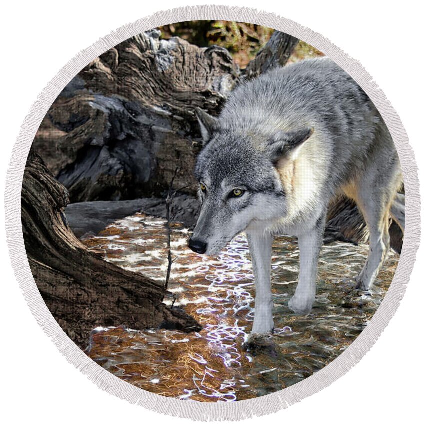 Wolf Round Beach Towel featuring the photograph Timber Wolf Stalking by Jeannee Gannuch
