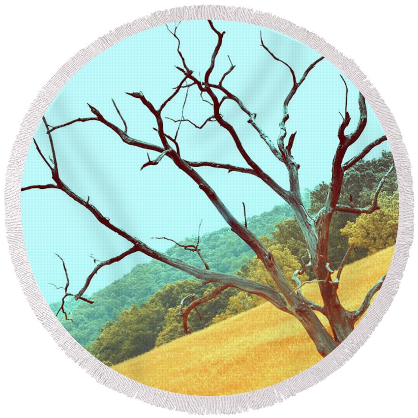 Trees Round Beach Towel featuring the photograph Tree in the Field by La Dolce Vita