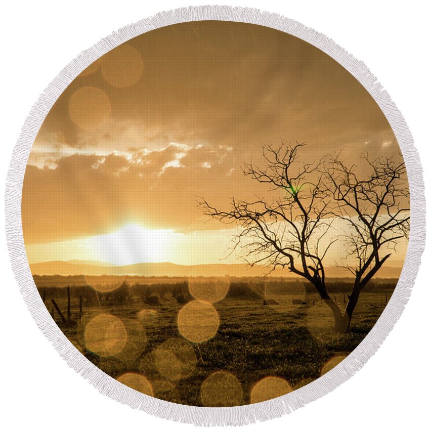 Sunset Round Beach Towel featuring the photograph Tree Sunset by Wesley Aston