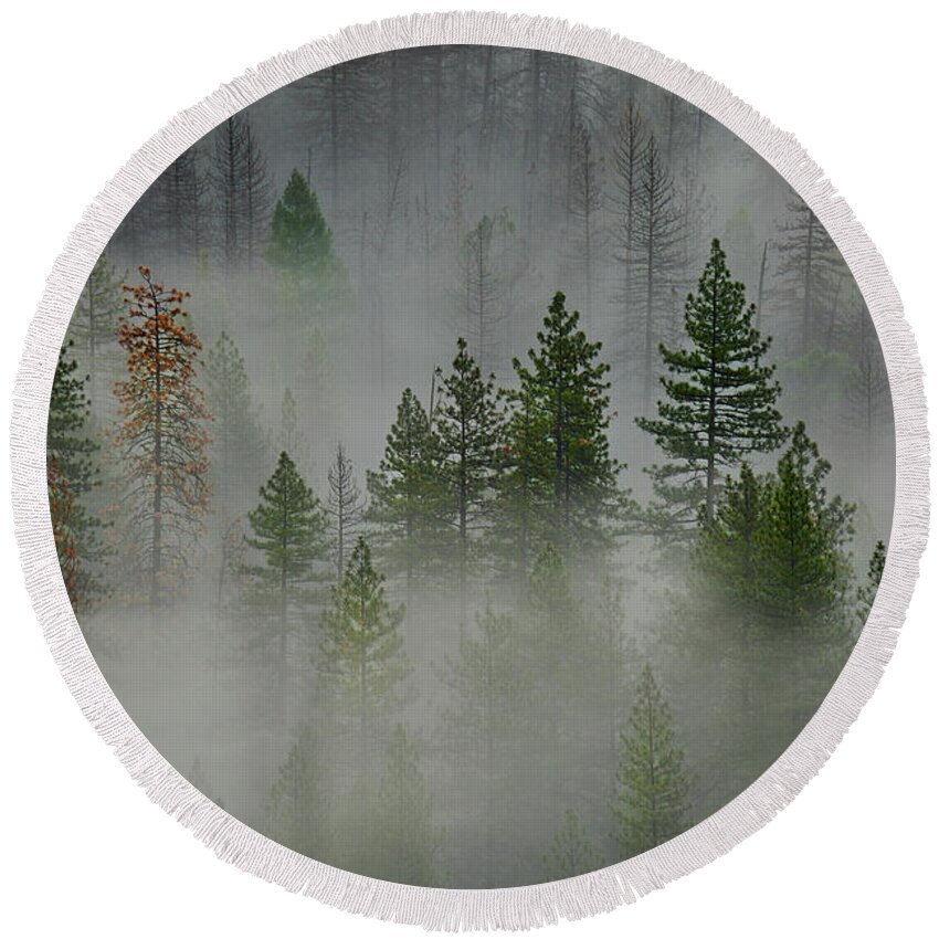 Forest Round Beach Towel featuring the photograph Trees in Yosemite by Jon Glaser
