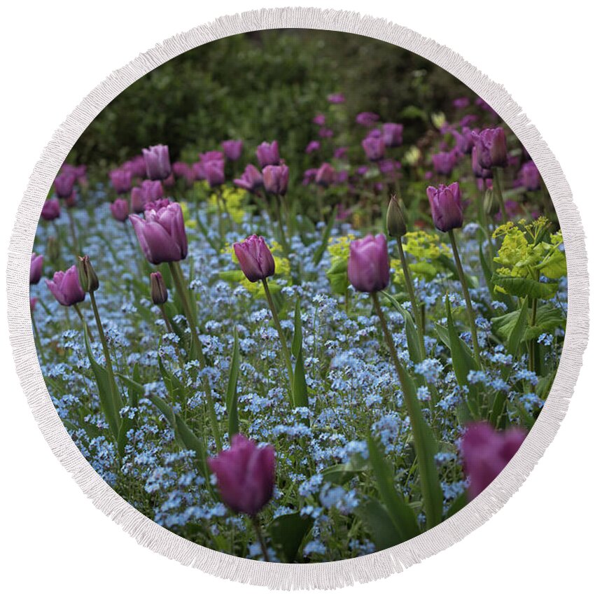 Tulips Round Beach Towel featuring the photograph Tulips at Great Dixter Gardens by Perry Rodriguez