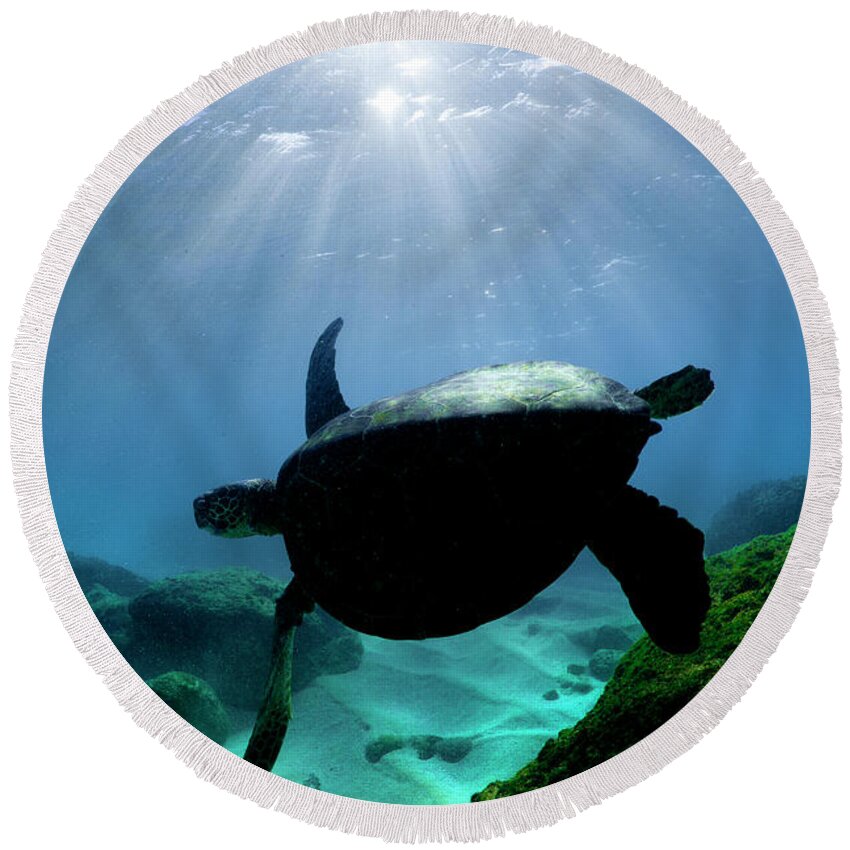 Sea Round Beach Towel featuring the photograph Turtle Radiance by Sean Davey