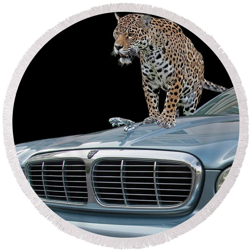 Jaguar Round Beach Towel featuring the photograph Two Jaguars 1 by Larry Linton