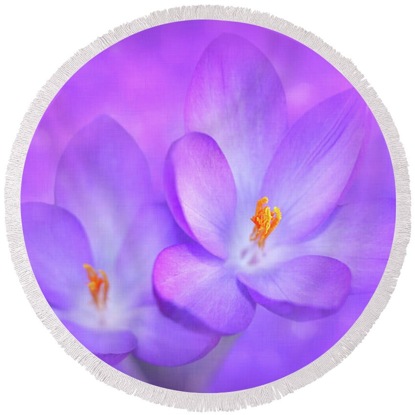 Purple Round Beach Towel featuring the photograph Unison by Iryna Goodall
