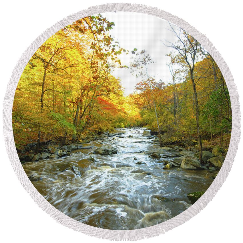 03nov18 Round Beach Towel featuring the photograph Up a Creek in the Fall by Jeff at JSJ Photography