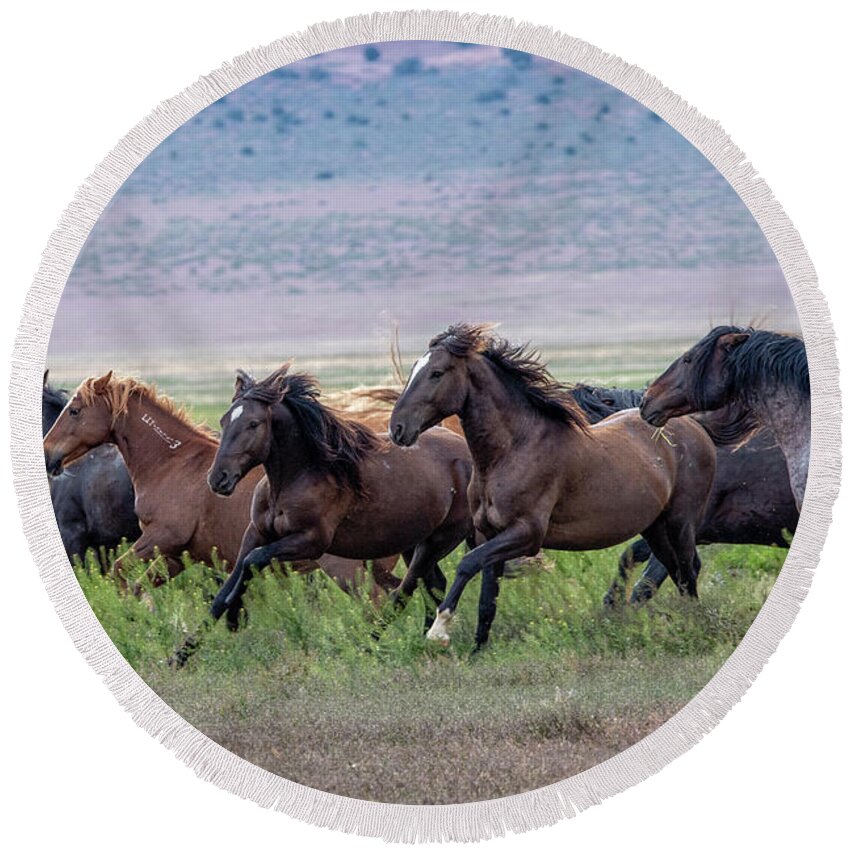 Horse Round Beach Towel featuring the photograph Utah's Wild Horses by Jeanette Mahoney