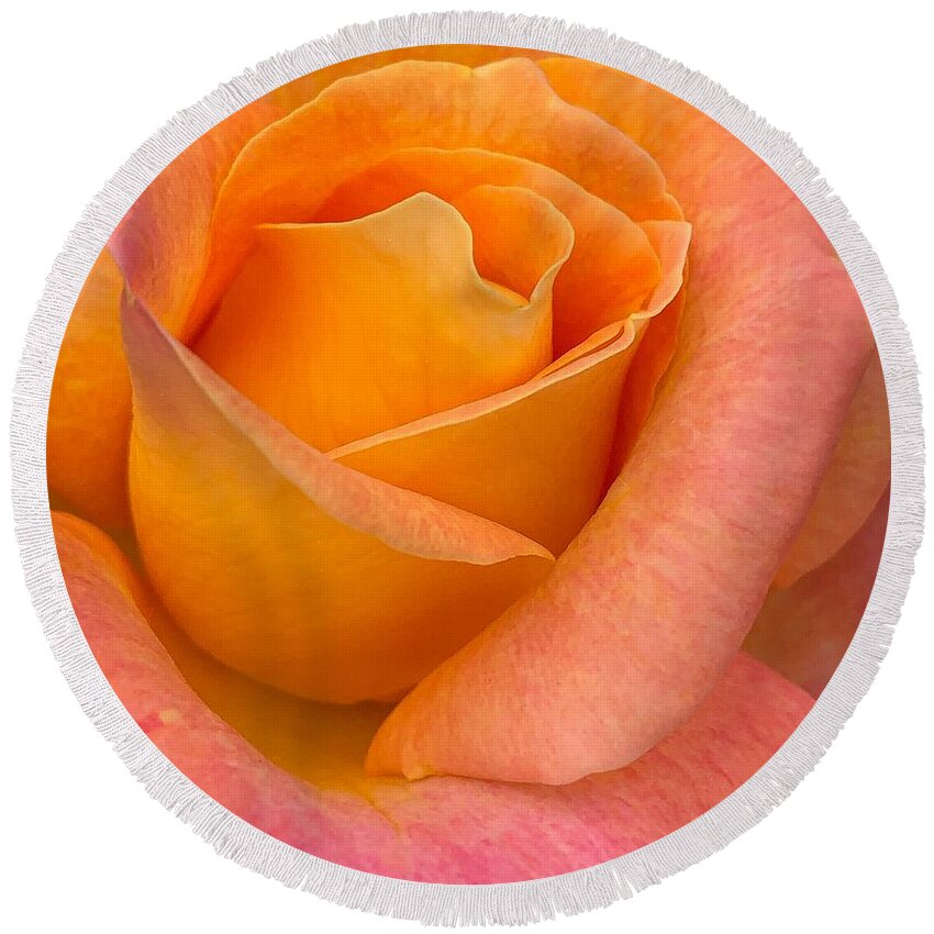 Rose Round Beach Towel featuring the photograph Vertical Rose by Anamar Pictures