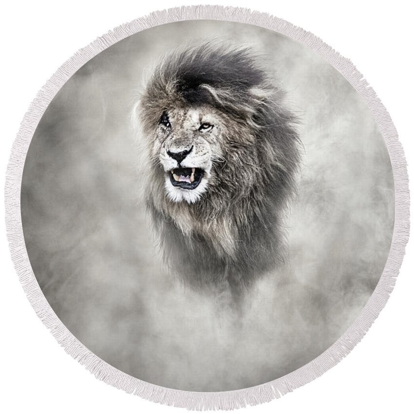Lion Round Beach Towel featuring the photograph Vulnerable African Lion In The Dust by Good Focused