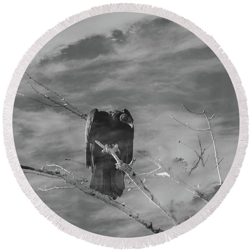 Black And White Round Beach Towel featuring the photograph Vulture in Clouds by Sandra Dalton
