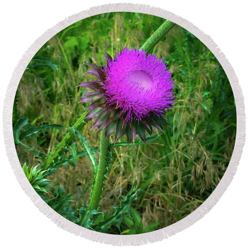 Thistle Round Beach Towel featuring the photograph Wanna Be in Scotland by Lora J Wilson