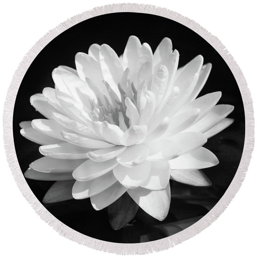 Flower Round Beach Towel featuring the photograph Water Lily In Black And White by Steve Karol