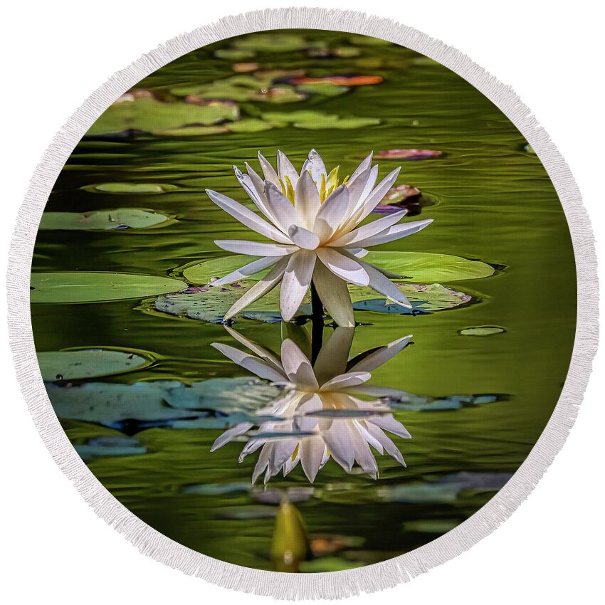 Floral Round Beach Towel featuring the photograph Water Lily In Bloom by JASawyer Imaging