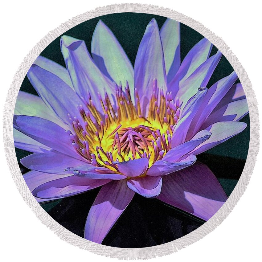Nature Round Beach Towel featuring the photograph Waterlily on the Lake by Bruce Bley