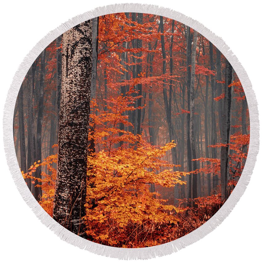 Mist Round Beach Towel featuring the photograph Welcome To Orange Forest by Evgeni Dinev