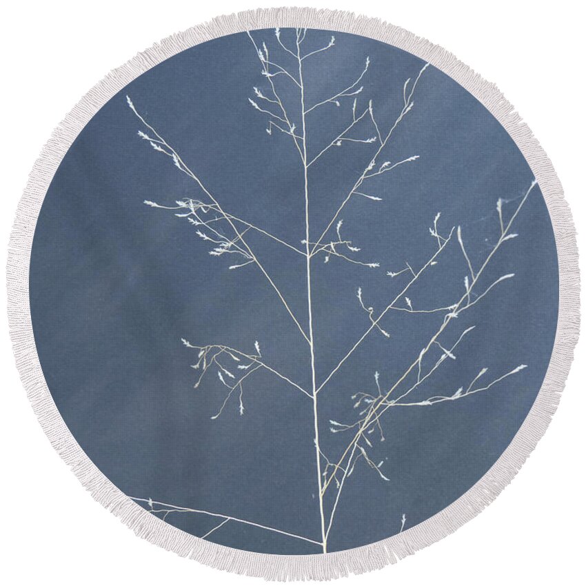 Photograph Round Beach Towel featuring the photograph Wispy Stems of Grass by Christy Garavetto