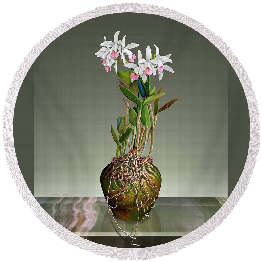 White Cattleya Orchids Round Beach Towel featuring the painting White Cattleya Orchids in Pot by David Arrigoni