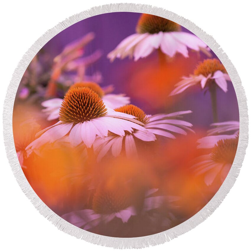 Art Round Beach Towel featuring the photograph White Coneflowers by Joan Han
