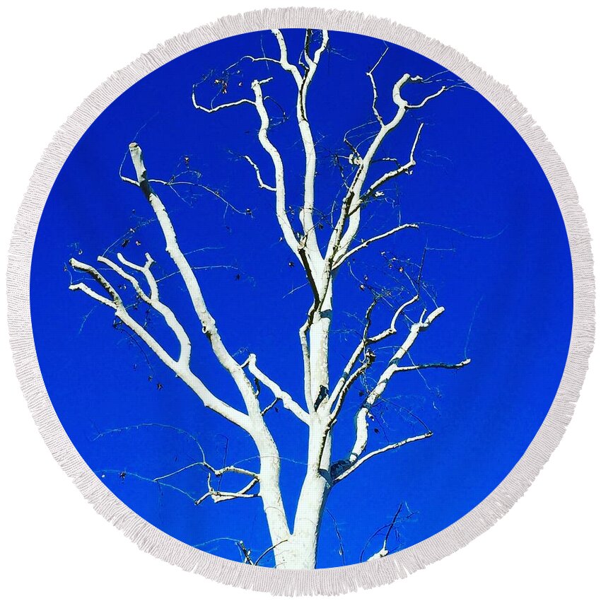 Blue Round Beach Towel featuring the photograph White Tree by Suzanne Lorenz