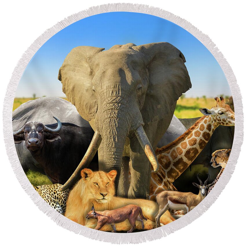 African Animals Round Beach Towel featuring the photograph Wild african animals background by Benny Marty