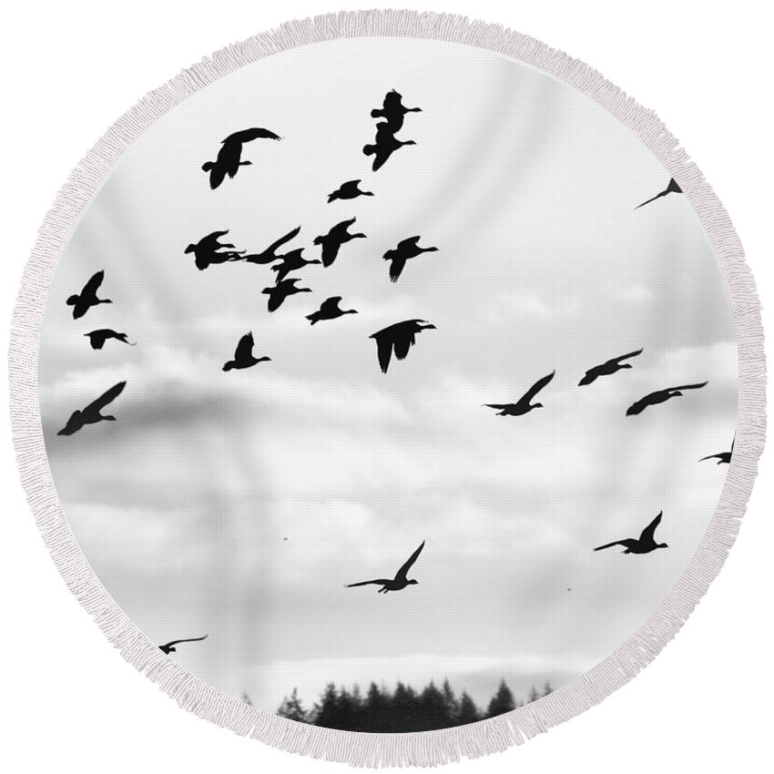 Canadian Geese Round Beach Towel featuring the photograph WIld Geese Silhouette by Scott Cameron