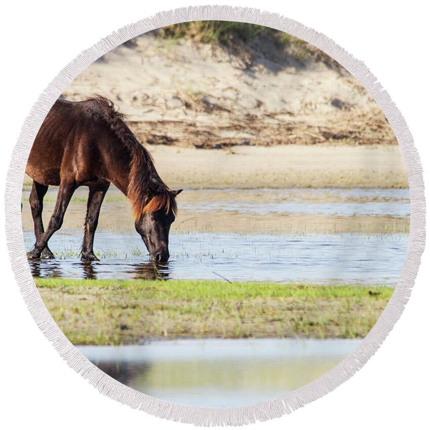 Wild Horse Round Beach Towel featuring the photograph Wild Mustang on Shackleford Banks by Bob Decker