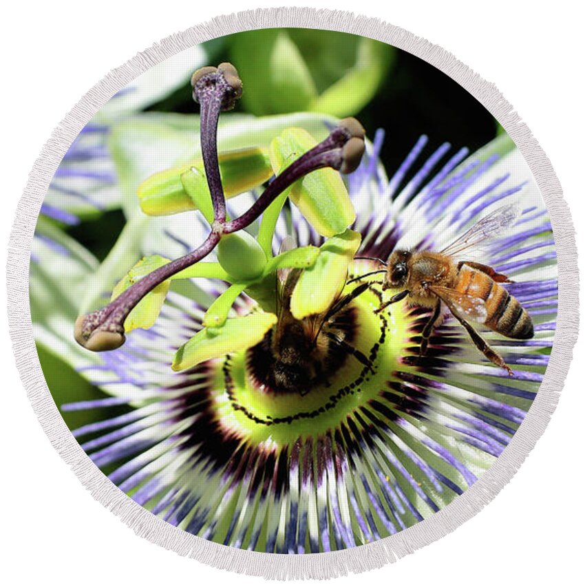 Wild Passion Flower Round Beach Towel featuring the digital art Wild passion flower 001 by Kevin Chippindall