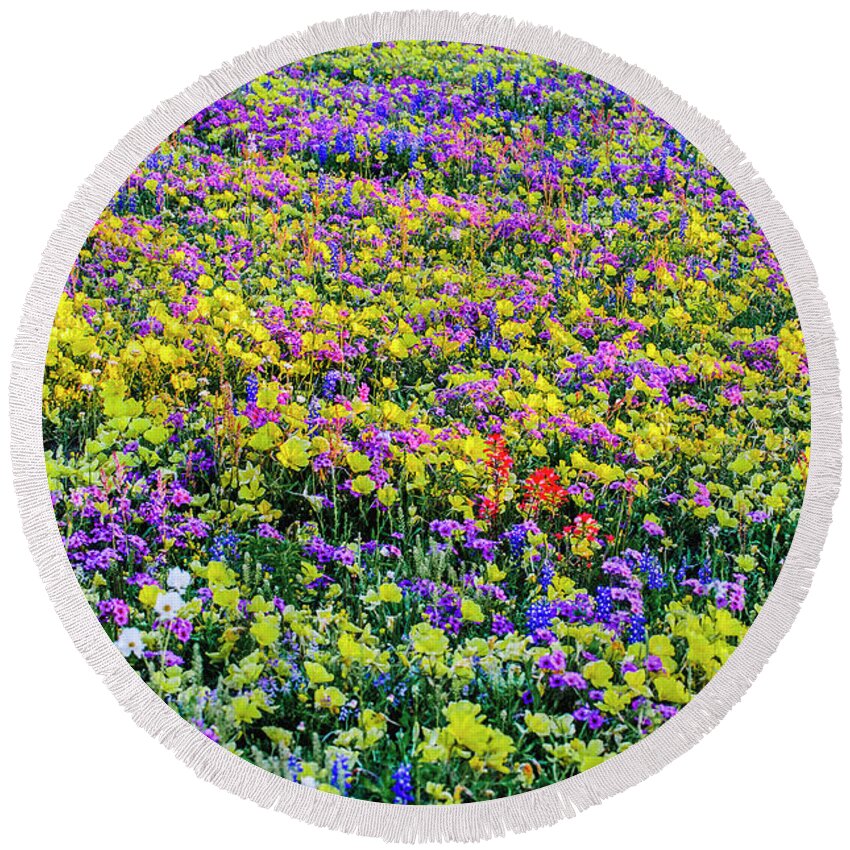 Texas Bluebonnets Round Beach Towel featuring the photograph Wildflower Bliss by Johnny Boyd