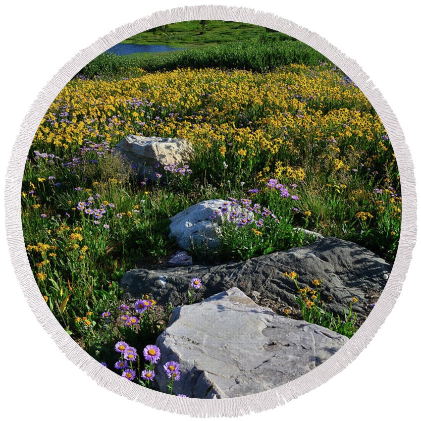 Snowy Range Mountains Round Beach Towel featuring the photograph Wildflowers Bloom in Snowy Range by Ray Mathis