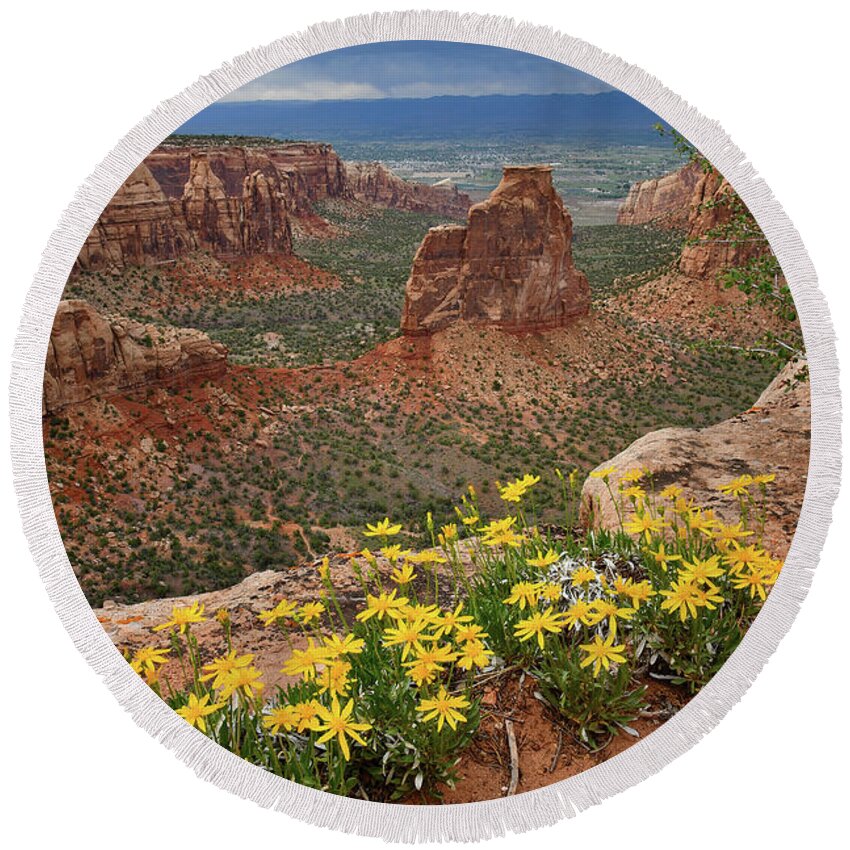 Colorado National Monument Round Beach Towel featuring the photograph Wildflowers on Rim of Grand View Point Overlook by Ray Mathis