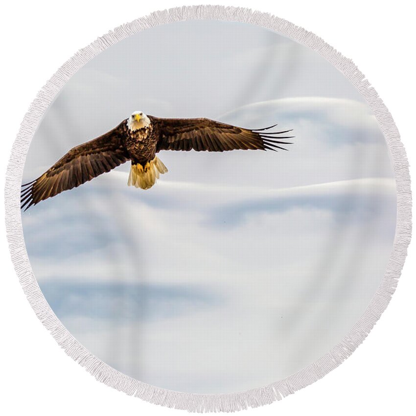 Eagle Round Beach Towel featuring the photograph Wings on High by David Wagenblatt