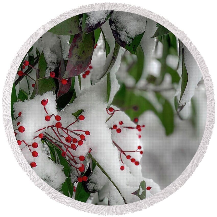 Berries Round Beach Towel featuring the photograph Winter Berries by Lora J Wilson