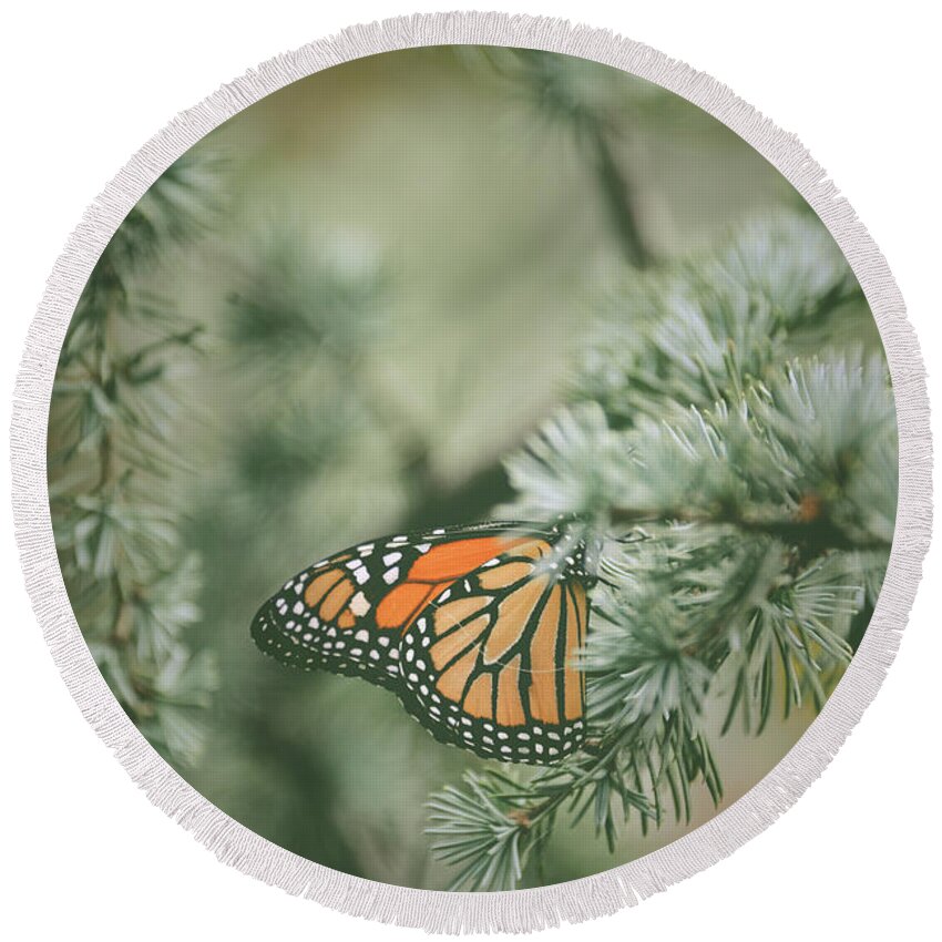 Pine Round Beach Towel featuring the photograph Winter Monarch by Michelle Wermuth