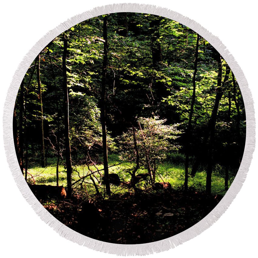 Forest Round Beach Towel featuring the photograph Woodland Calm - No. 17 by Steve Ember