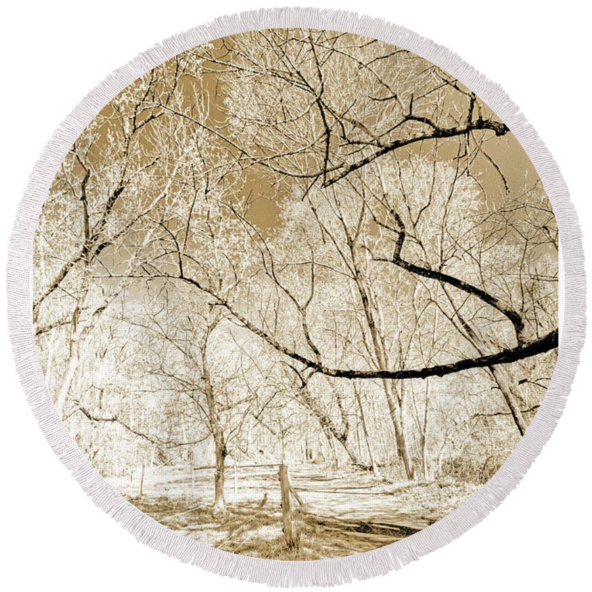 Woodland Round Beach Towel featuring the photograph Woodland Path in Early Spring by A Macarthur Gurmankin