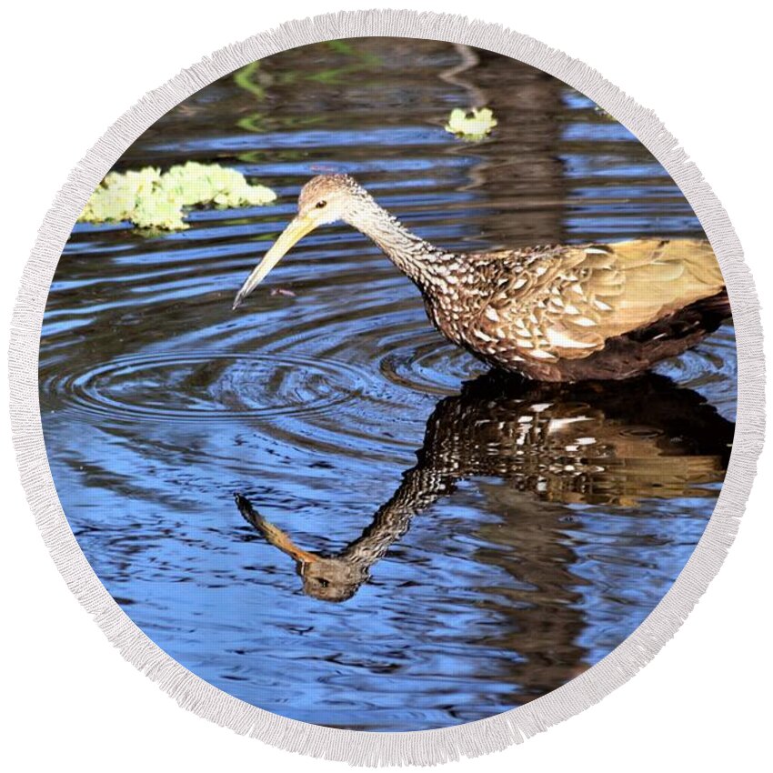 Working Limpkin Round Beach Towel featuring the photograph Working Limpkin by Warren Thompson