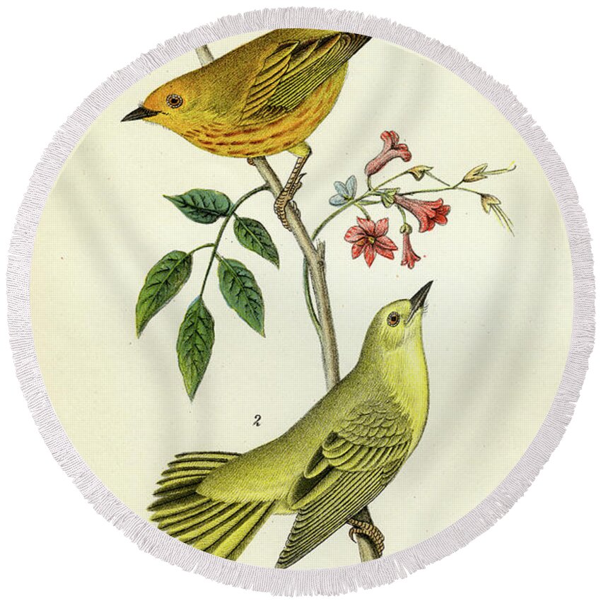 Bird Round Beach Towel featuring the mixed media Yellow Warbler by Unknown