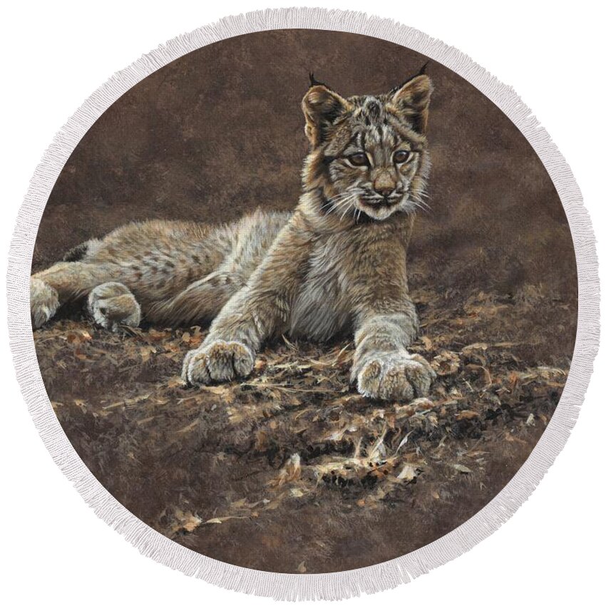 Paintings Round Beach Towel featuring the painting Young Bobcat by Alan M Hunt by Alan M Hunt
