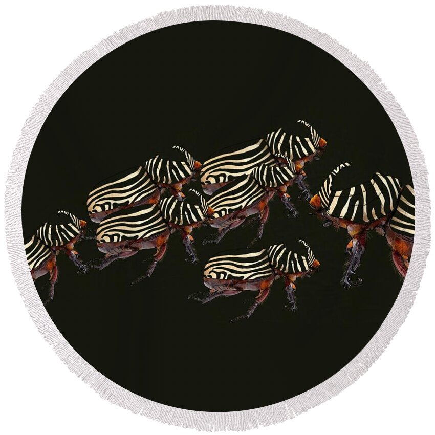 Rhinoceros Beetle Round Beach Towel featuring the drawing Zebra Pattern Rhinoceros Beetle 3 by Joan Stratton