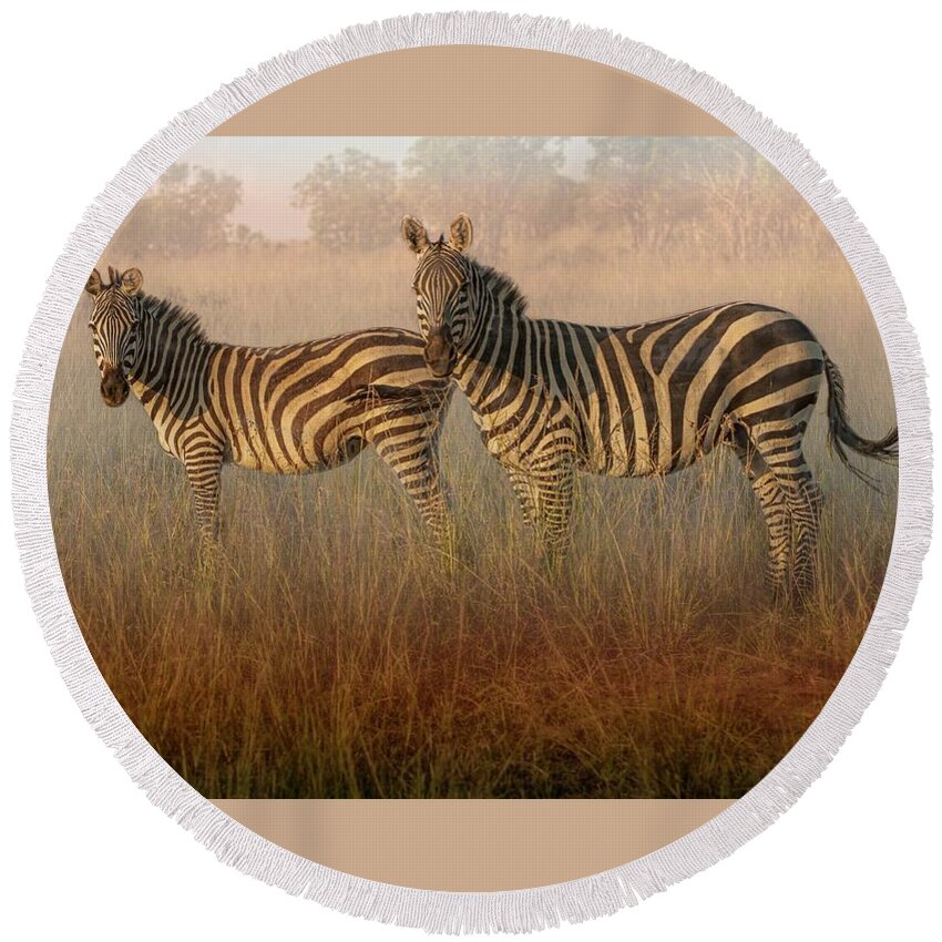 Zebras Round Beach Towel featuring the photograph Zebras at Sunset by Peggy Blackwell