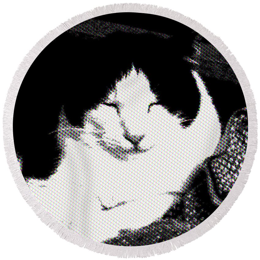 Cat Round Beach Towel featuring the photograph Zen Cat by Mimulux Patricia No