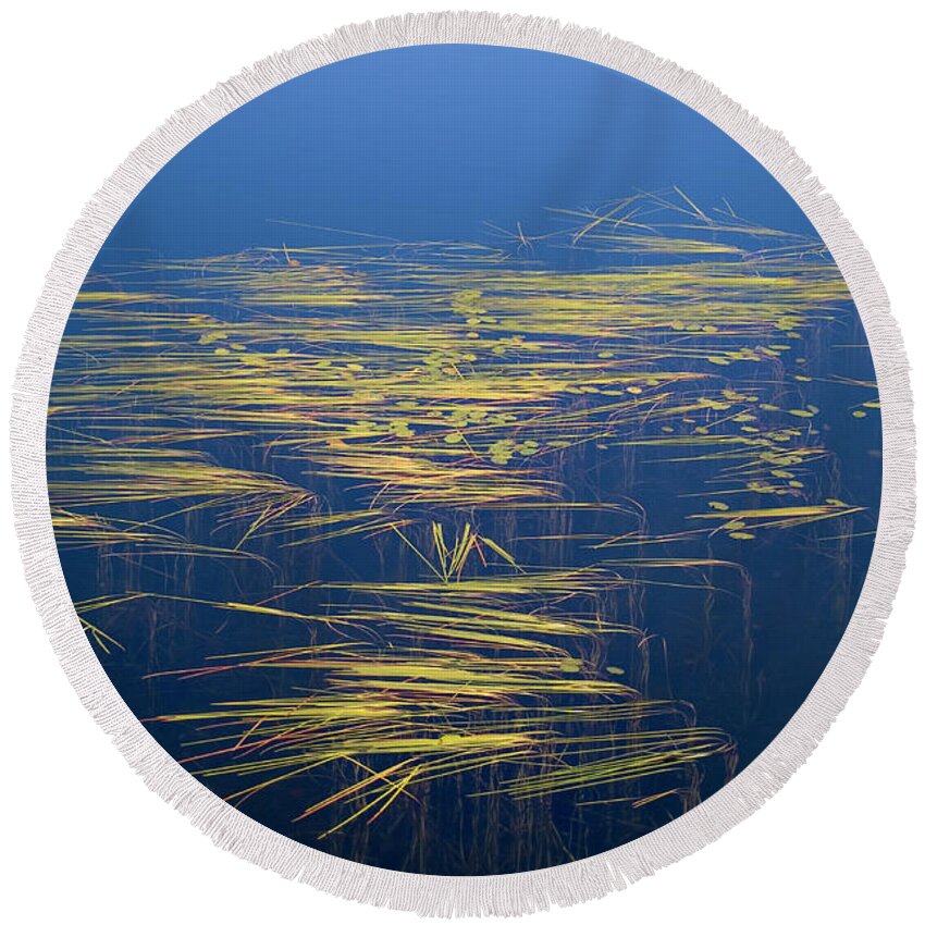 Photography Round Beach Towel featuring the photograph Zen Reeds by Jeffrey PERKINS